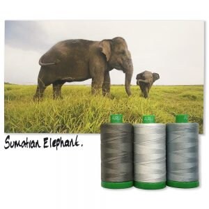 Aurifil SUMATRAN ELEPHANT Color Builder Mako Cotton 40 Weight Wt Large Spool Grey Gray Dove Quilting Thread Set of 3 2600 2610 5004